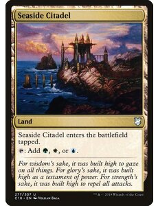 Magic: The Gathering Seaside Citadel (277) Moderately Played