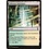 Magic: The Gathering Selesnya Sanctuary (281) Lightly Played