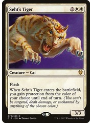 Magic: The Gathering Seht's Tiger (072) Lightly Played