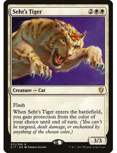 Magic: The Gathering Seht's Tiger (072) Lightly Played