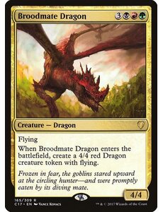 Magic: The Gathering Broodmate Dragon (165) Moderately Played