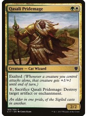 Magic: The Gathering Qasali Pridemage (189) Lightly Played
