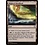 Magic: The Gathering Blighted Woodland (235) Lightly Played