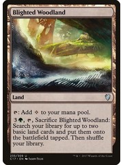 Magic: The Gathering Blighted Woodland (235) Moderately Played