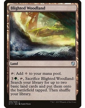 Magic: The Gathering Blighted Woodland (235) Moderately Played