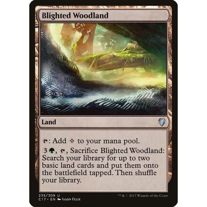Magic: The Gathering Blighted Woodland (235) Moderately Played