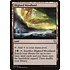 Magic: The Gathering Blighted Woodland (235) Moderately Played