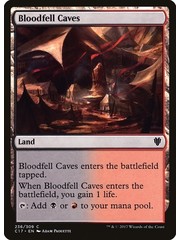 Magic: The Gathering Bloodfell Caves (236) Lightly Played