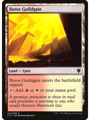 Magic: The Gathering Boros Guildgate (240) Lightly Played