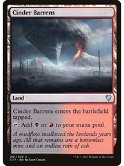 Magic: The Gathering Cinder Barrens (241) Lightly Played