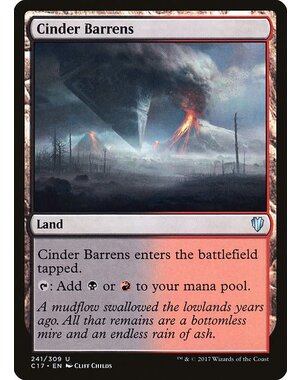 Magic: The Gathering Cinder Barrens (241) Lightly Played