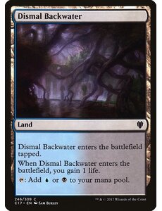 Magic: The Gathering Dismal Backwater (246) Lightly Played
