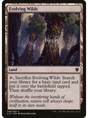 Magic: The Gathering Evolving Wilds (248) Lightly Played