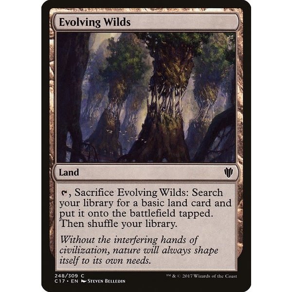 Magic: The Gathering Evolving Wilds (248) Lightly Played