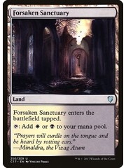 Magic: The Gathering Forsaken Sanctuary (250) Lightly Played