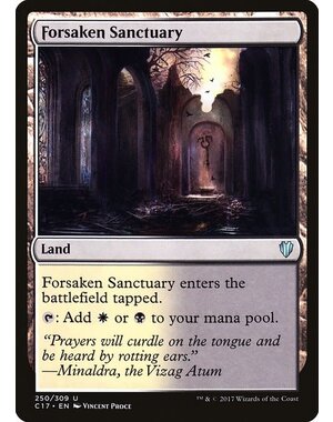 Magic: The Gathering Forsaken Sanctuary (250) Lightly Played