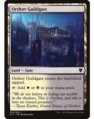 Magic: The Gathering Orzhov Guildgate (269) Lightly Played