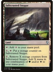 Magic: The Gathering Saltcrusted Steppe (273) Lightly Played