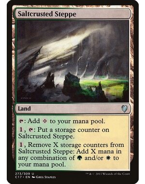 Magic: The Gathering Saltcrusted Steppe (273) Lightly Played
