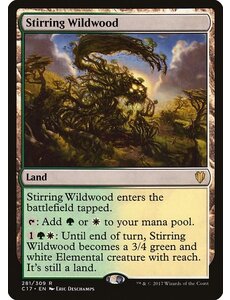 Magic: The Gathering Stirring Wildwood (281) Lightly Played