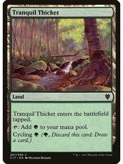 Magic: The Gathering Tranquil Thicket (287) Lightly Played