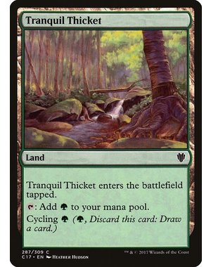 Magic: The Gathering Tranquil Thicket (287) Lightly Played