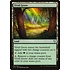 Magic: The Gathering Vivid Grove (291) Lightly Played