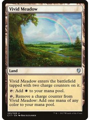 Magic: The Gathering Vivid Meadow (293) Lightly Played