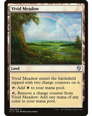 Magic: The Gathering Vivid Meadow (293) Moderately Played