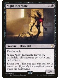 Magic: The Gathering Night Incarnate (017) Lightly Played