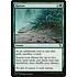 Magic: The Gathering Harrow (150) Lightly Played