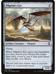 Magic: The Gathering Pilgrim's Eye (214) Lightly Played
