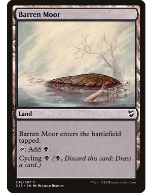 Magic: The Gathering Barren Moor (235) Lightly Played