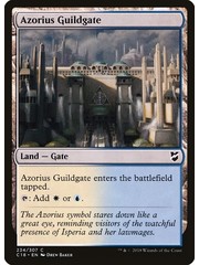 Magic: The Gathering Azorius Guildgate (234) Lightly Played