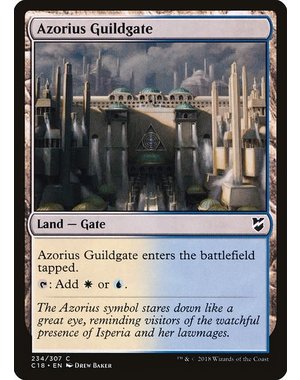 Magic: The Gathering Azorius Guildgate (234) Lightly Played