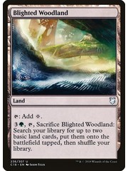 Magic: The Gathering Blighted Woodland (236) Lightly Played