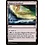 Magic: The Gathering Blighted Woodland (236) Lightly Played