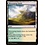 Magic: The Gathering Blossoming Sands (237) Lightly Played