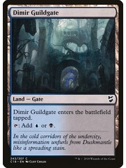 Magic: The Gathering Dimir Guildgate (243) Lightly Played