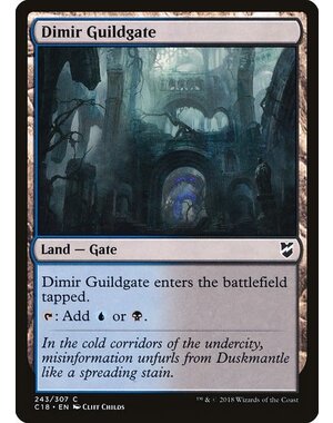 Magic: The Gathering Dimir Guildgate (243) Lightly Played