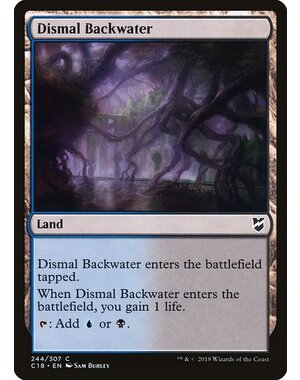 Magic: The Gathering Dismal Backwater (244) Lightly Played