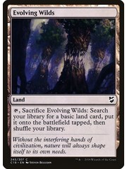Magic: The Gathering Evolving Wilds (245) Lightly Played
