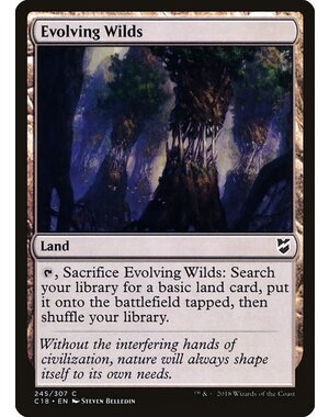 Magic: The Gathering Evolving Wilds (245) Lightly Played