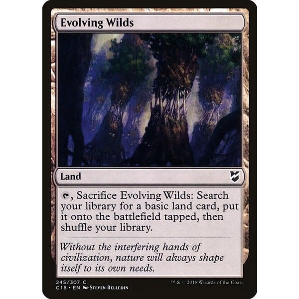 Magic: The Gathering Evolving Wilds (245) Lightly Played