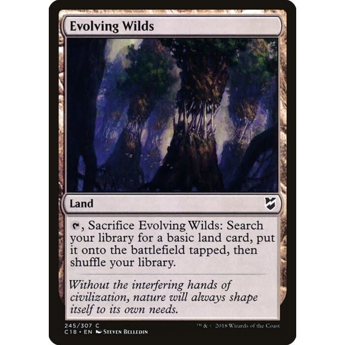 Magic: The Gathering Evolving Wilds (245) Lightly Played