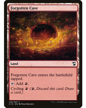 Magic: The Gathering Forgotten Cave (246) Lightly Played