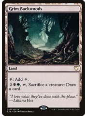 Magic: The Gathering Grim Backwoods (251) Lightly Played