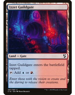 Magic: The Gathering Izzet Guildgate (257) Lightly Played
