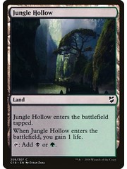 Magic: The Gathering Jungle Hollow (259) Lightly Played