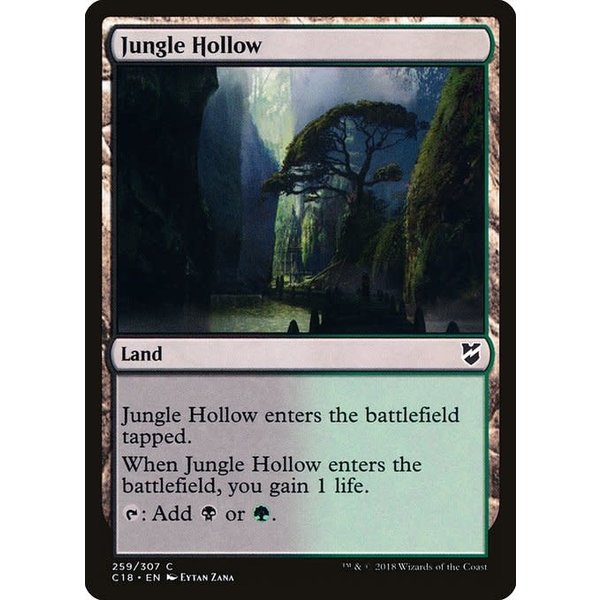 Magic: The Gathering Jungle Hollow (259) Lightly Played